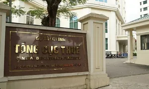 Mô hình ngành thuế sau khi sắp xếp, tinh gọn