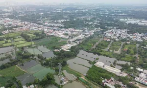 Thanh khoản đất nền giảm sâu năm 2024 Thanh khoản đất nền giảm sâu năm 2024
