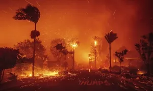 Ác mộng với ngành bảo hiểm giữa thảm họa cháy rừng ở Los Angeles Ác mộng với ngành bảo hiểm giữa thảm họa cháy rừng ở Los Angeles