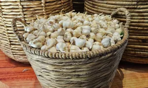 5 thực phẩm hỗ trợ chữa lành thận tự nhiên