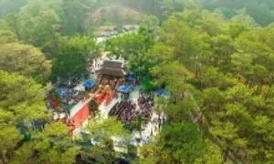 Những hoạt động nổi bật tại lễ hội trà quốc tế